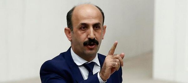 HDP Hakkari Milletvekili Nihat Akdoğan - Sputnik Türkiye