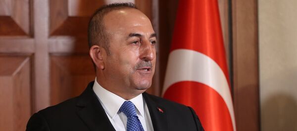 Mevlüt Çavuşoğlu - Sputnik Türkiye