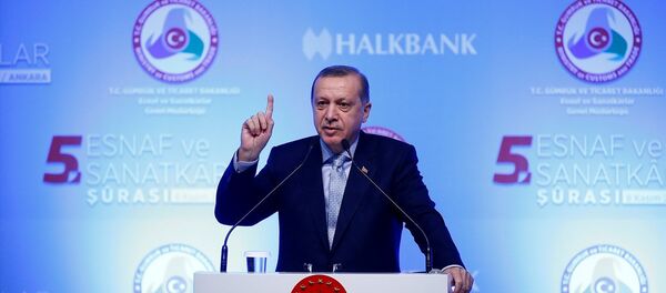 Cumhurbaşkanı Recep Tayyip Erdoğan - Sputnik Türkiye