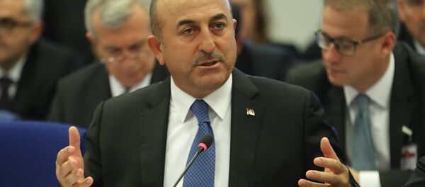 Dışişleri Bakanı Mevlüt Çavuşoğlu - Sputnik Türkiye