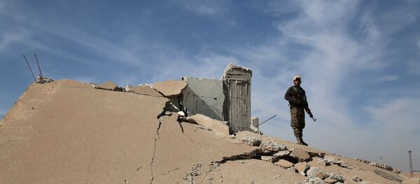 Rakka- Demokratik Suriye Güçleri - Sputnik Türkiye