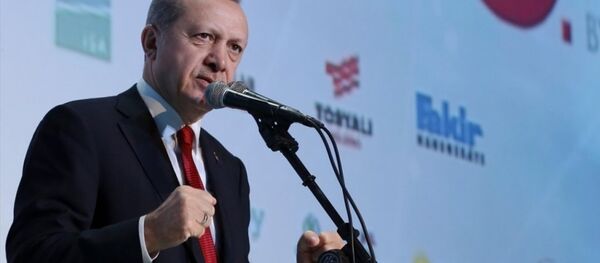 Cumhurbaşkanı Recep Tayyip Erdoğan Cumhurbaşkanı Recep Tayyip Erdoğan - Sputnik Türkiye