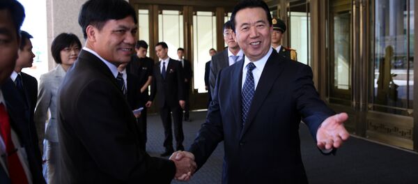 Interpol Başkanı Meng Hongwei - Sputnik Türkiye