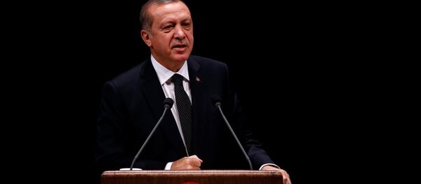Cumhurbaşkanı Recep Tayyip Erdoğan Cumhurbaşkanı Recep Tayyip Erdoğan - Sputnik Türkiye