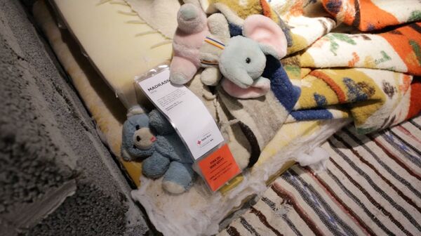 25 metrekare Suriye - Sputnik Türkiye