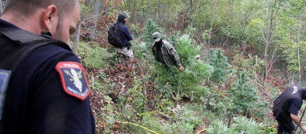 Arnavutluk polisi / uyuşturucu - Sputnik Türkiye