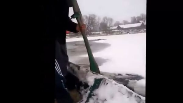 Buzlar arasına sıkışan köpeği Rus işçiler kurtardı / Video haber - Sputnik Türkiye
