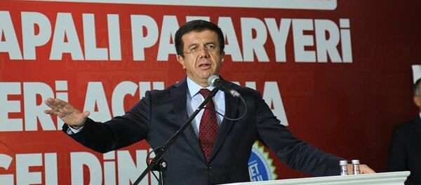 Ekonomi Bakanı Nihat Zeybekci - Sputnik Türkiye