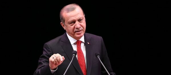 Recep Tayyip Erdoğan - Sputnik Türkiye