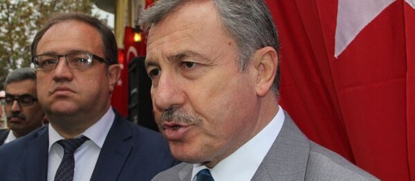 Selçuk Özdağ - Sputnik Türkiye