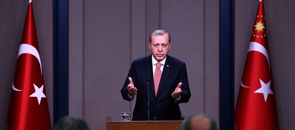 Cumhurbaşkanı Recep Tayyip Erdoğan - Sputnik Türkiye