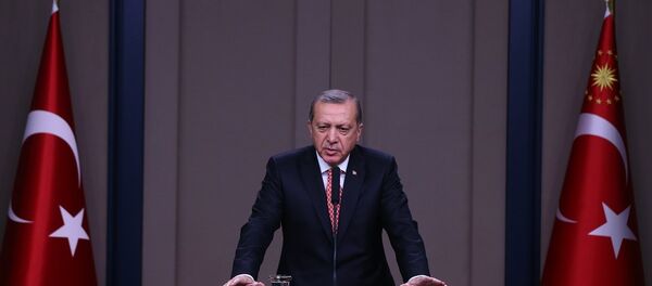 Cumhurbaşkanı Recep Tayyip Erdoğan - Sputnik Türkiye