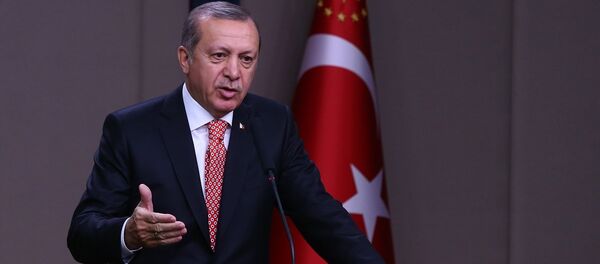 Cumhurbaşkanı Recep Tayyip Erdoğan - Sputnik Türkiye