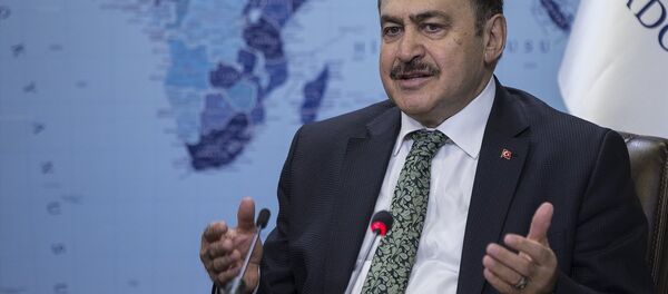 Orman ve Su İşleri Bakanı Veysel Eroğlu - Sputnik Türkiye