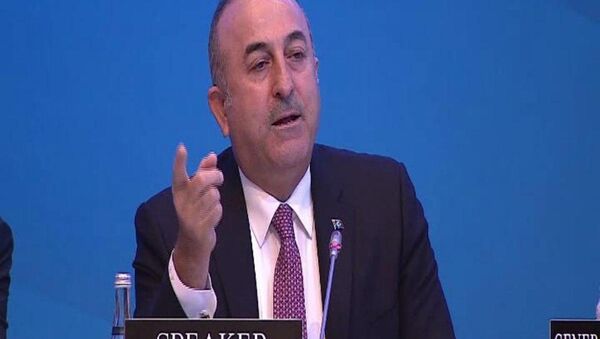 Türkiye Dışişleri Bakanı Mevlüt Çavuşoğlu - Sputnik Türkiye