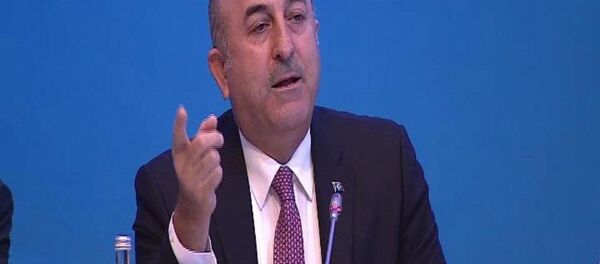 Türkiye Dışişleri Bakanı Mevlüt Çavuşoğlu - Sputnik Türkiye
