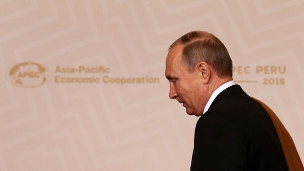 Vladimir Putin / APEC zirvesi - Sputnik Türkiye