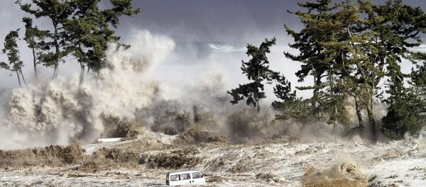 Tsunami (Arşiv) - Sputnik Türkiye