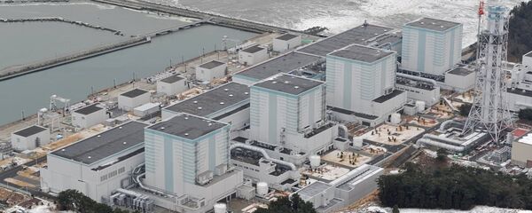 Japonya - Fukuşima - deprem - Sputnik Türkiye