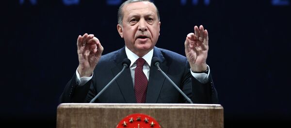 Cumhurbaşkanı Recep Tayyip Erdoğan - Sputnik Türkiye