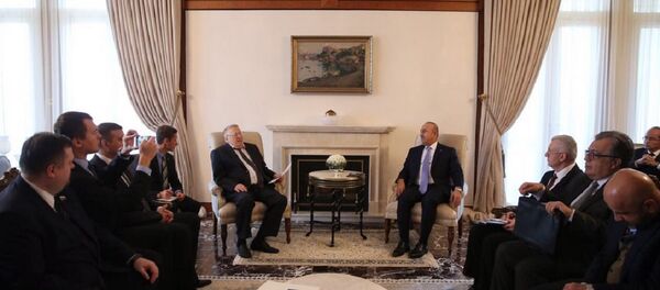 Dışişleri Bakanı Mevlüt Çavuşoğlu, Rusya Liberal Demokrat Parti Genel Başkanı Vladimir Jirinovski'yi kabul etti. - Sputnik Türkiye