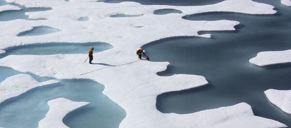 Amerikalı araştırmacılar Kuzey Buz Denizi'nde küresel ısınma ilgili veriler topluyor - Sputnik Türkiye