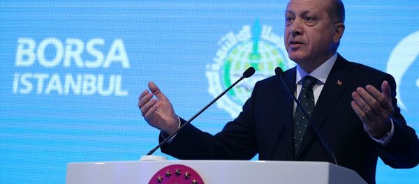 Cumhurbaşkanı Recep Tayyip Erdoğan - Sputnik Türkiye