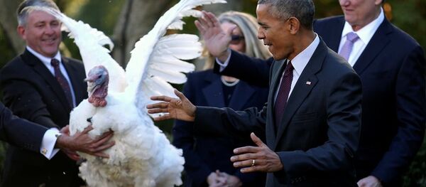 Barack Obama, Şükran Günü Barack Obama, Şükran Günü - Sputnik Türkiye