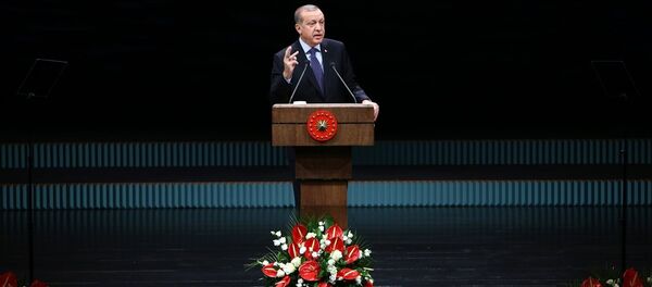 Cumhurbaşkanı Recep Tayyip Erdoğan - Sputnik Türkiye