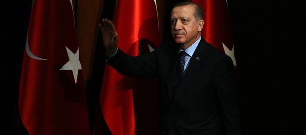 Cumhurbaşkanı Recep Tayyip Erdoğan - Sputnik Türkiye