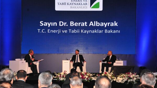 Enerji ve Tabii Kaynaklar Bakanı Berat Albayrak - Sputnik Türkiye