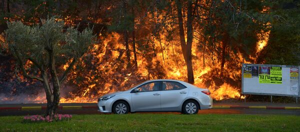 İsrail'de yangın - Sputnik Türkiye