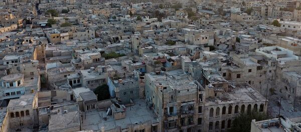 Suriye- Halep - Sputnik Türkiye