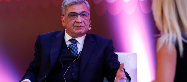 Cumhurbaşkanı Başdanışmanı Cemil Ertem - Sputnik Türkiye