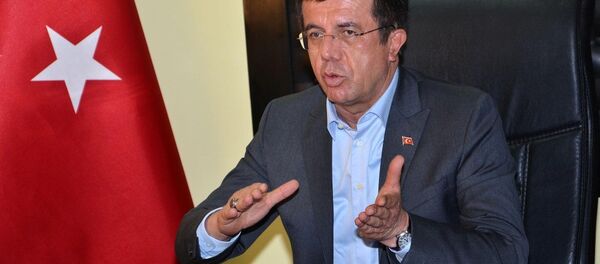 Ekonomi Bakanı Nihat Zeybekci - Sputnik Türkiye