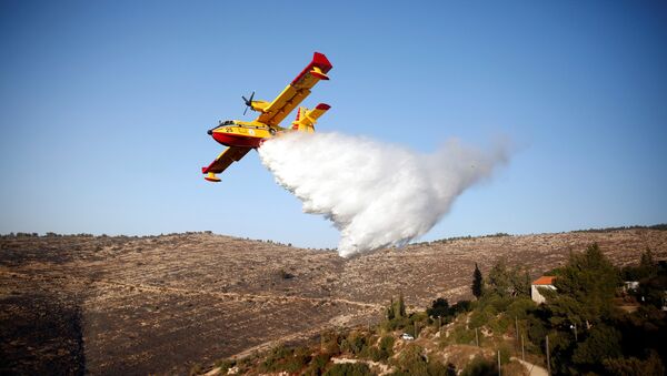 İsrail'deki orman yangınları - Sputnik Türkiye