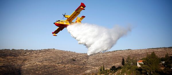İsrail'deki orman yangınları - Sputnik Türkiye