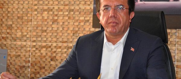 Türkiye Ekonomi Bakanı Nihat Zeybekci - Sputnik Türkiye