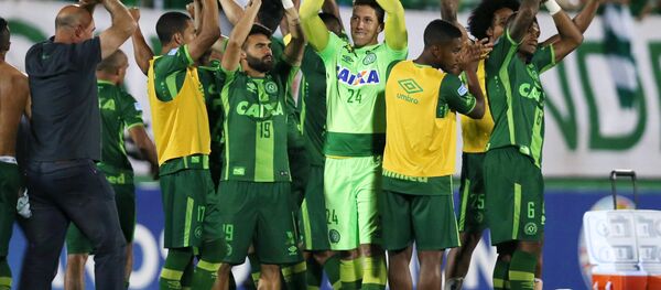 Chapecoense Futbol Takımı - Sputnik Türkiye
