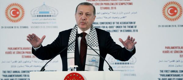 Cumhurbaşkanı Recep Tayyip Erdoğan - Sputnik Türkiye