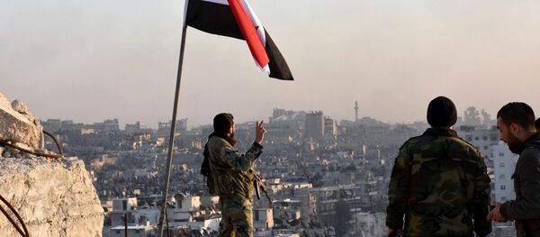 Bir Suriye askeri Halep'te cihatçı gruplardan alınan mahallede zafer pozu veriyor - Sputnik Türkiye