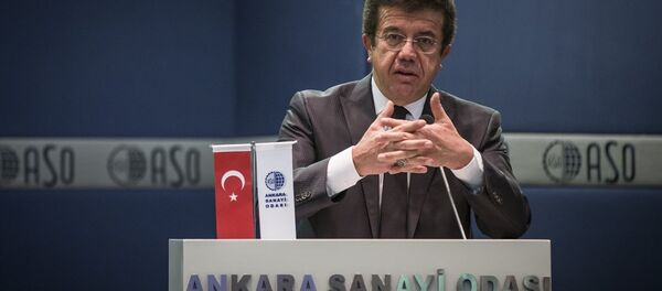 Ekonomi Bakanı Nihat Zeybekci Ekonomi Bakanı Nihat Zeybekci - Sputnik Türkiye