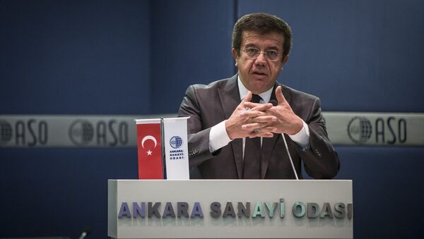 Ekonomi Bakanı Nihat Zeybekci - Sputnik Türkiye