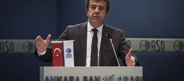 Ekonomi Bakanı Nihat Zeybekci - Sputnik Türkiye