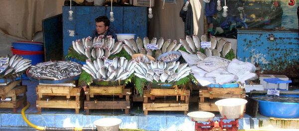 Balıkçı - Sputnik Türkiye