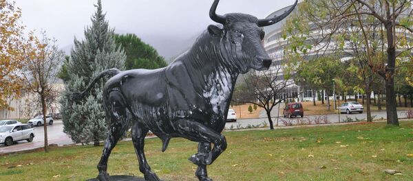 Pamukkale Üniversitesi Rektörü Prof. Dr. Hüseyin Bağ, kampüsteki boğa helkelini kaldırttı. - Sputnik Türkiye