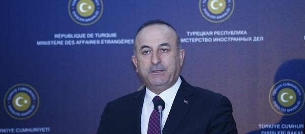 Dışişleri Bakanı Mevlüt Çavuşoğlu - Sputnik Türkiye