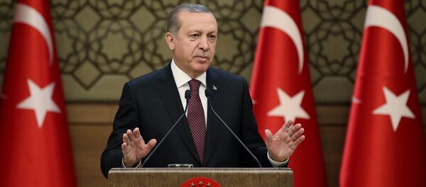 Cumhurbaşkanı Recep Tayyip Erdoğan - Sputnik Türkiye