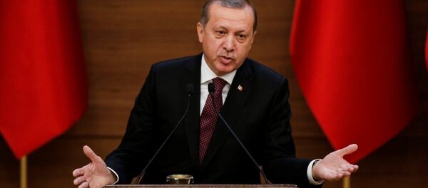 Cumhurbaşkanı Recep Tayyip Erdoğan - Sputnik Türkiye