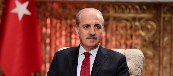 Başbakan Yardımcısı Numan Kurtulmuş - Sputnik Türkiye